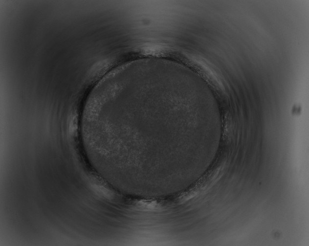X0000102830502200809081158