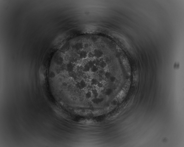 X0000102830503200809081158