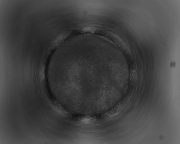 X0000102830504200809081158