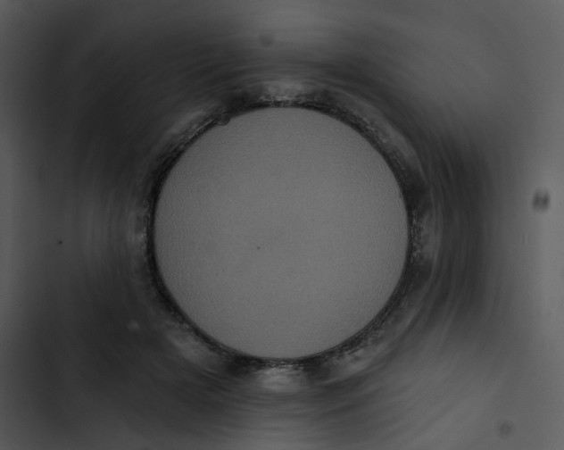 X0000102830505200809081158