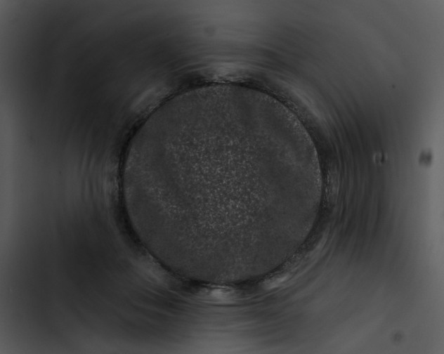 X0000102830506200809081158