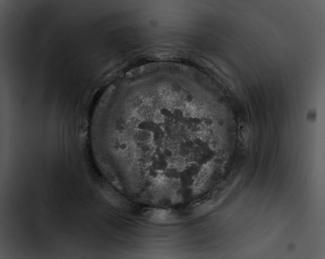 X0000102830507200809081158