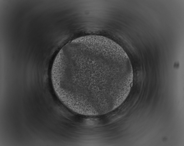 X0000102830508200809081158