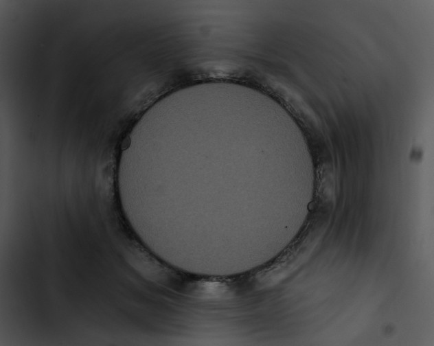 X0000102830509200809081158