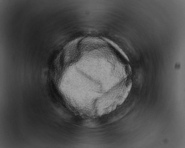 X0000102830511200809081158