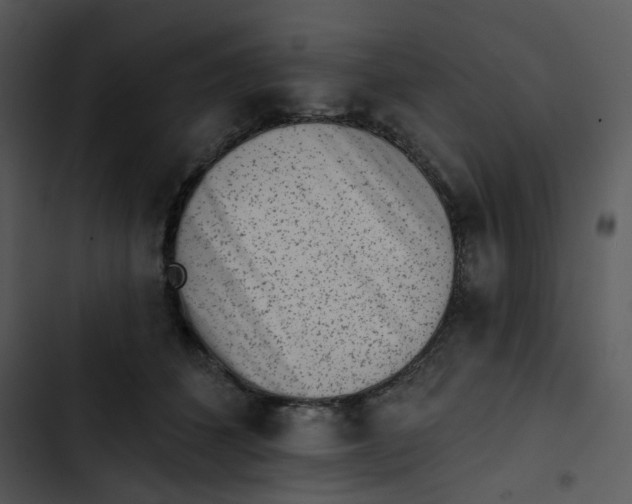X0000102830512200809081158