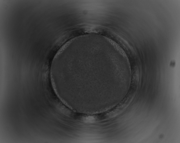 X0000102830513200809081158