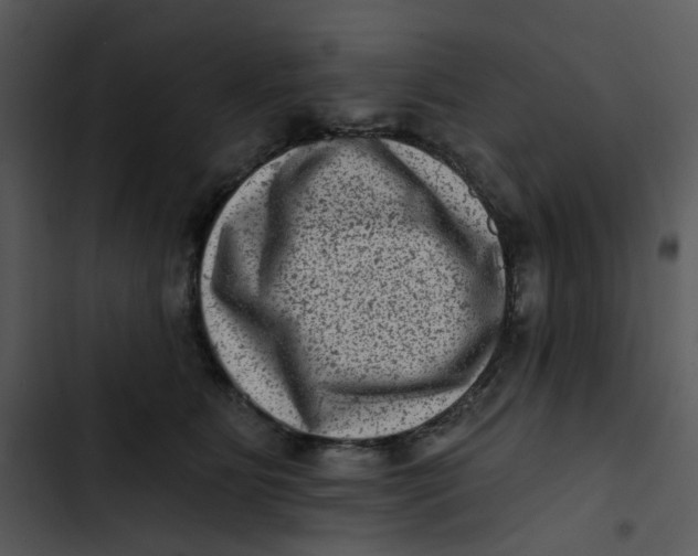 X0000102830515200809081158