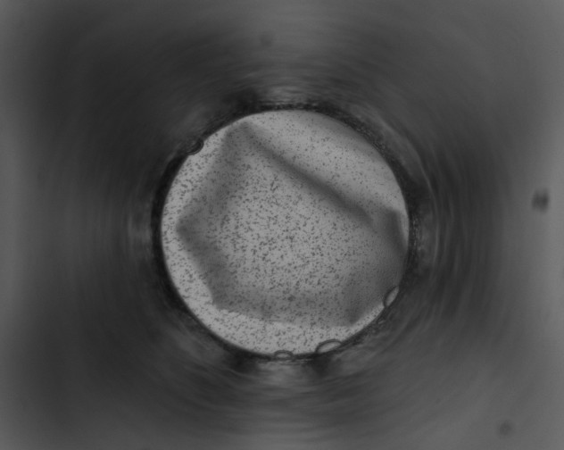 X0000102830516200809081158