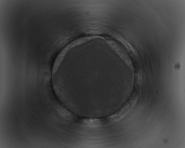 X0000102830517200809081158