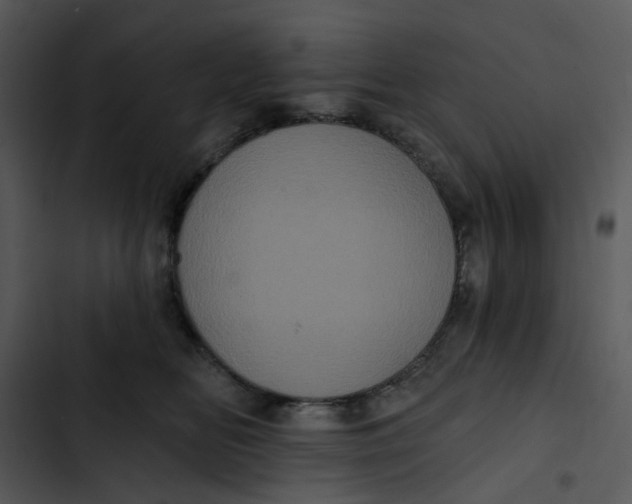 X0000102830518200809081158