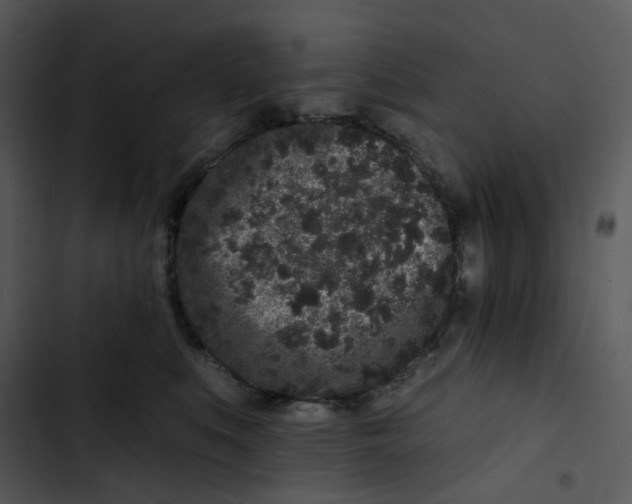 X0000102830519200809081158