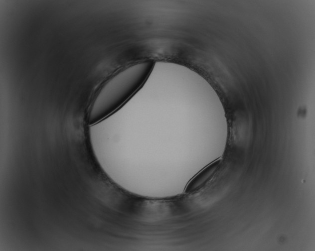 X0000102830520200809081158