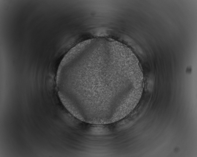 X0000102830521200809081158