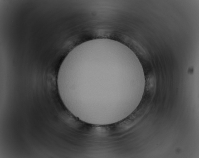 X0000102830522200809081158