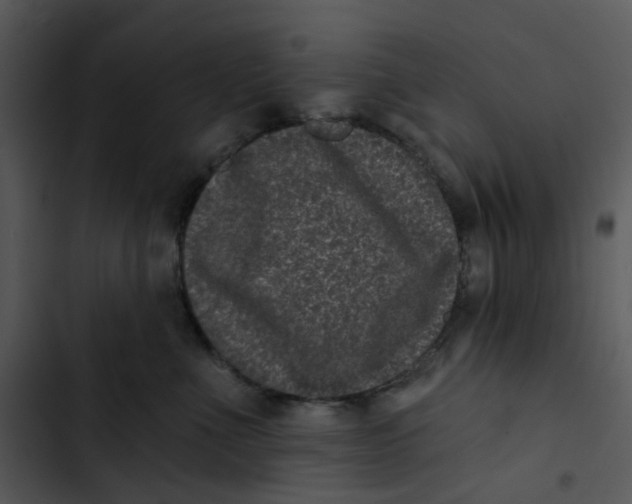 X0000102830523200809081158
