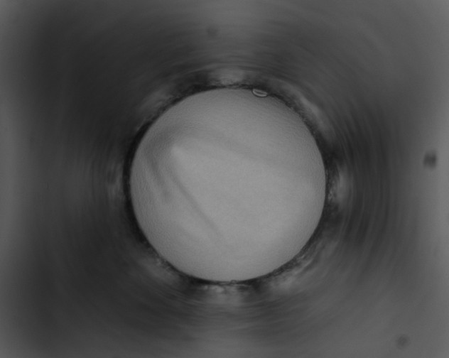 X0000102830524200809081158
