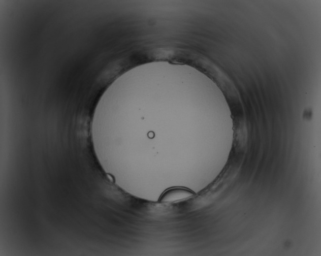 X0000102830525200809081158
