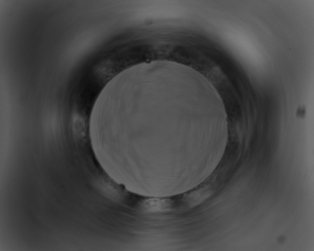 X0000102830526200809081158