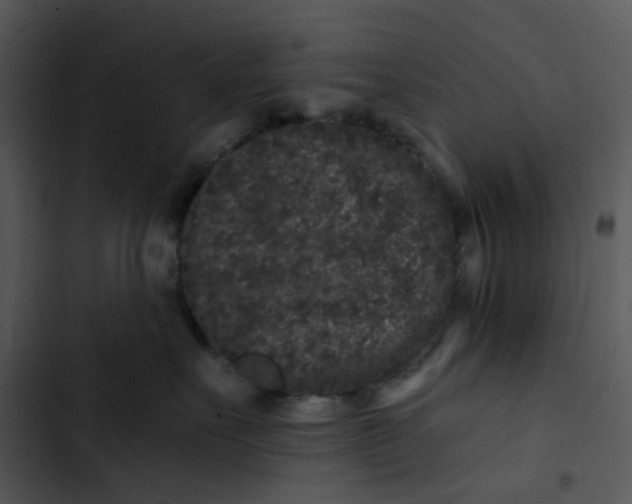 X0000102830527200809081158