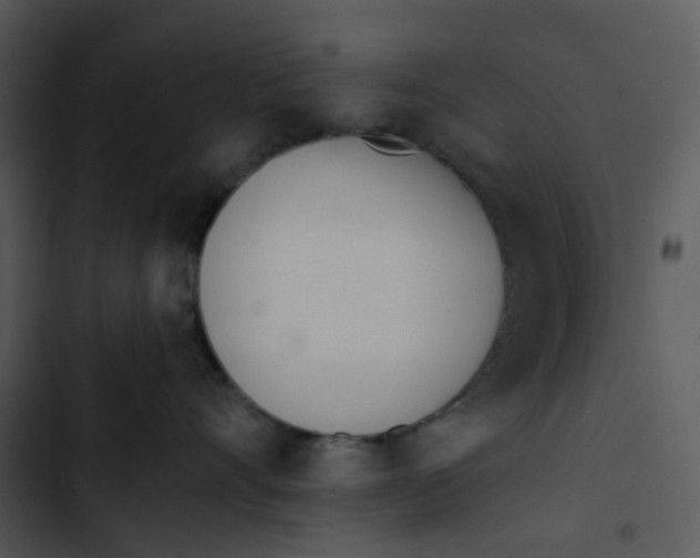 X0000102830528200809081158