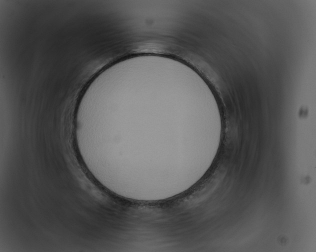 X0000102830529200809081157