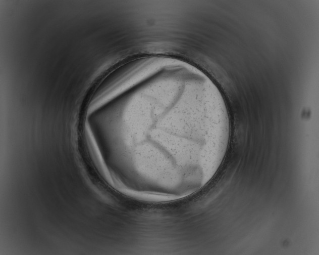 X0000102830530200809081157
