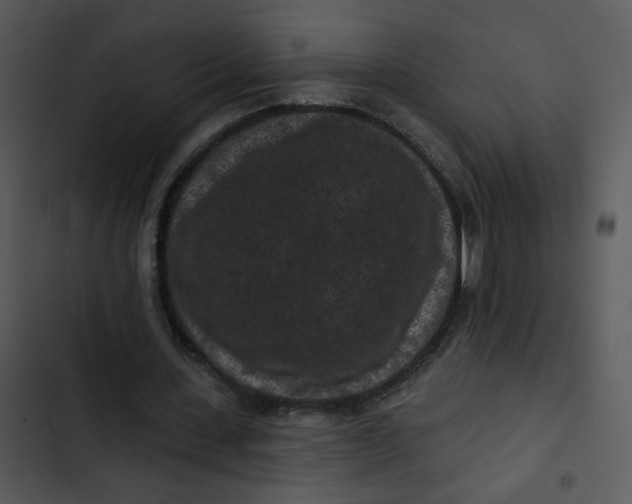 X0000102830531200809081157
