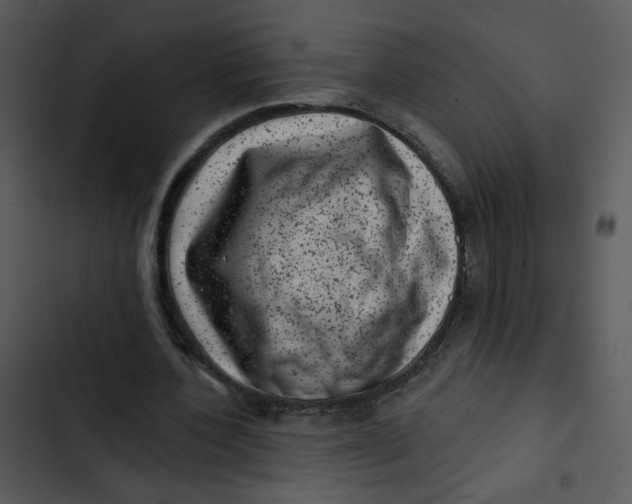 X0000102830532200809081157