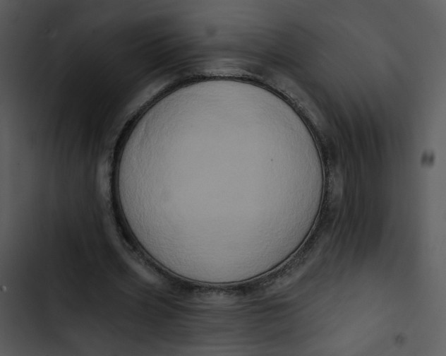 X0000102830533200809081157