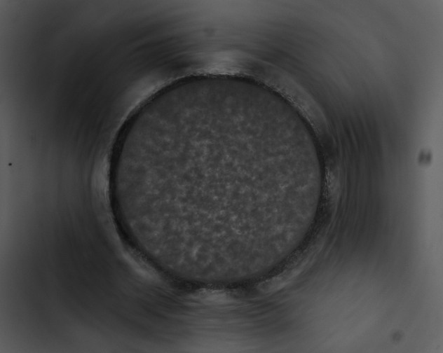 X0000102830534200809081157