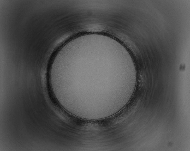 X0000102830535200809081157