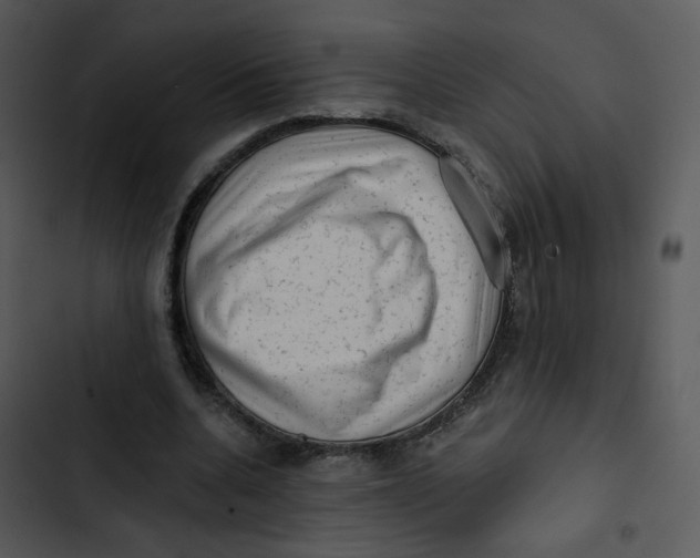 X0000102830536200809081157