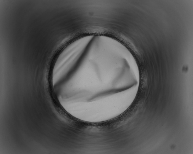 X0000102830538200809081157