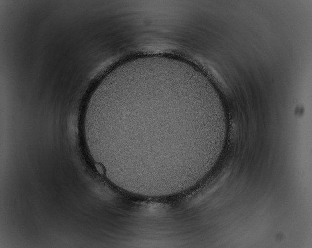 X0000102830539200809081157