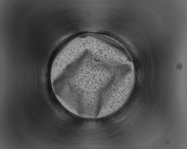 X0000102830540200809081157