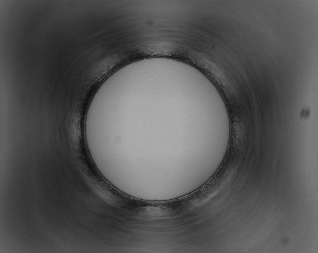 X0000102830541200809081157
