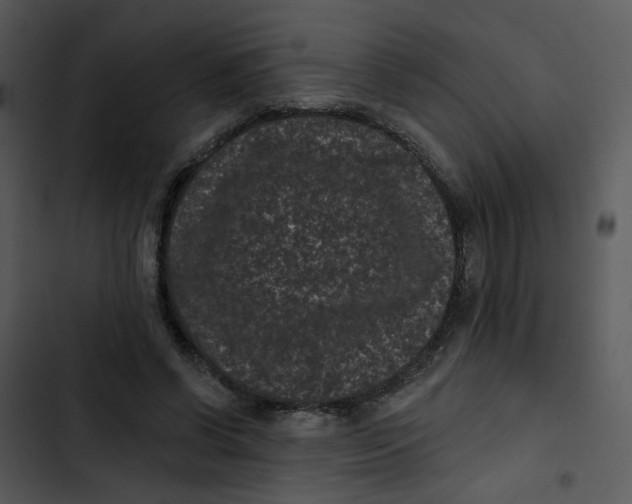 X0000102830542200809081157