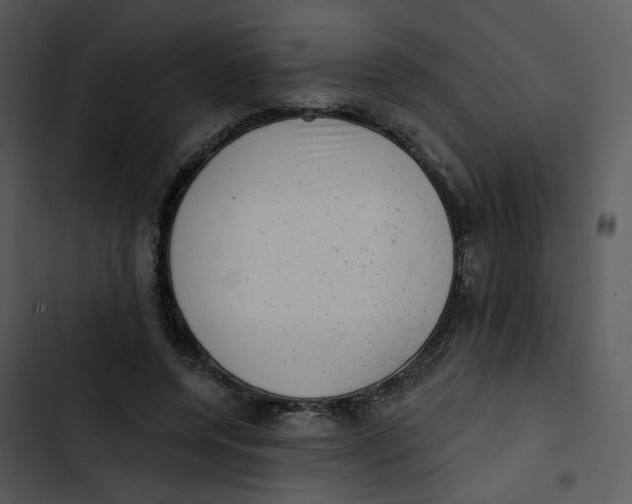 X0000102830544200809081157