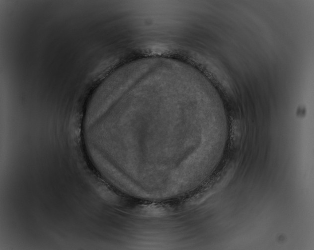 X0000102830545200809081157