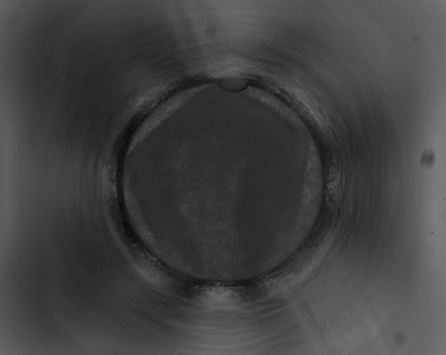 X0000102830547200809081157