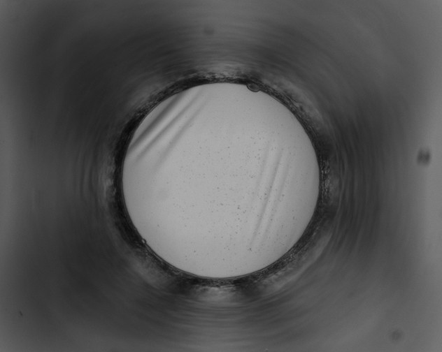 X0000102830548200809081157