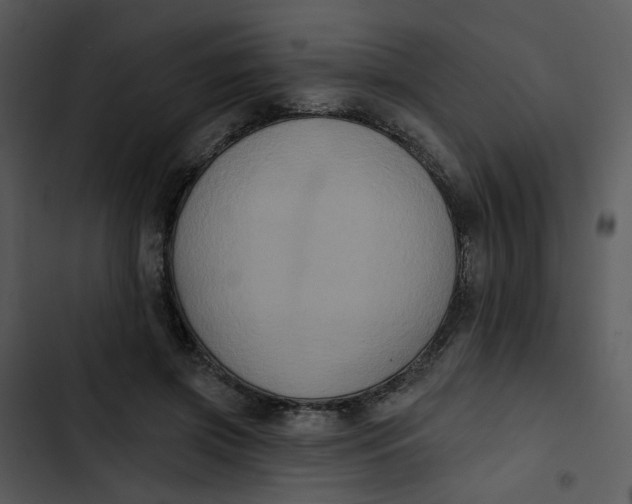 X0000102830549200809081157