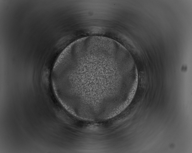 X0000102830550200809081157