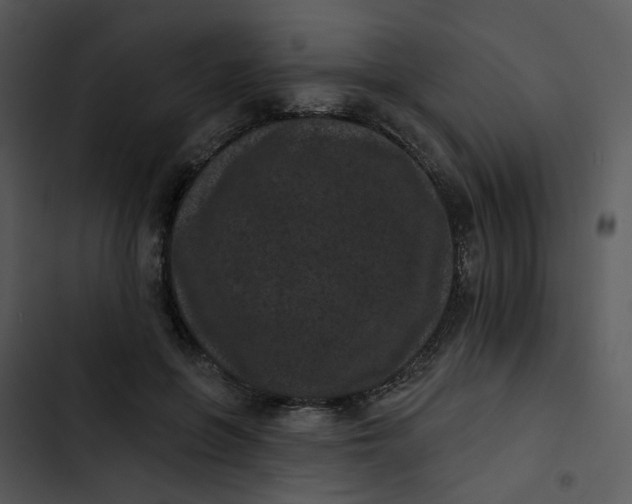 X0000102830551200809081158