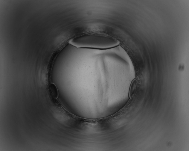 X0000102830552200809081158