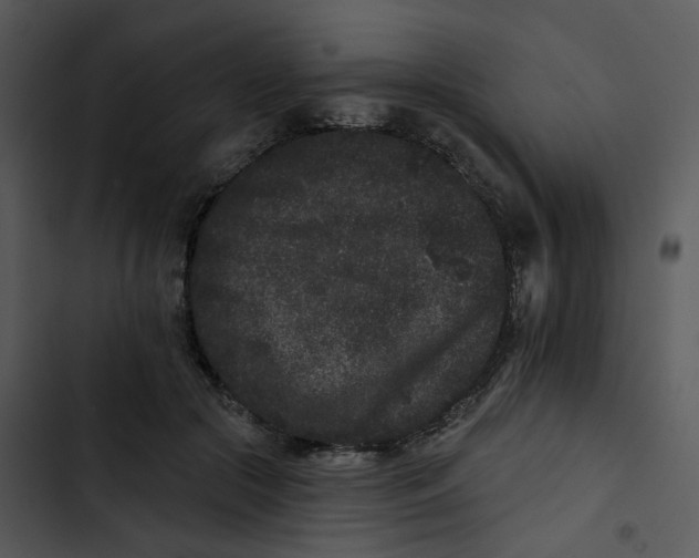 X0000102830553200809081158