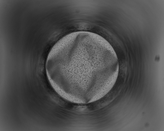 X0000102830554200809081158