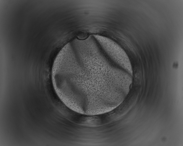X0000102830555200809081158