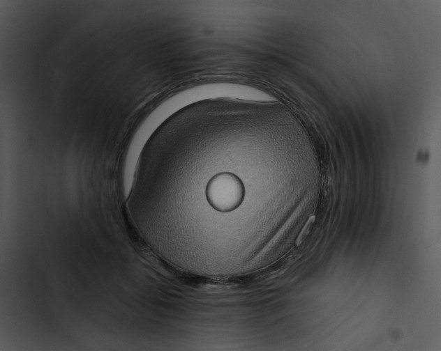 X0000102830556200809081158